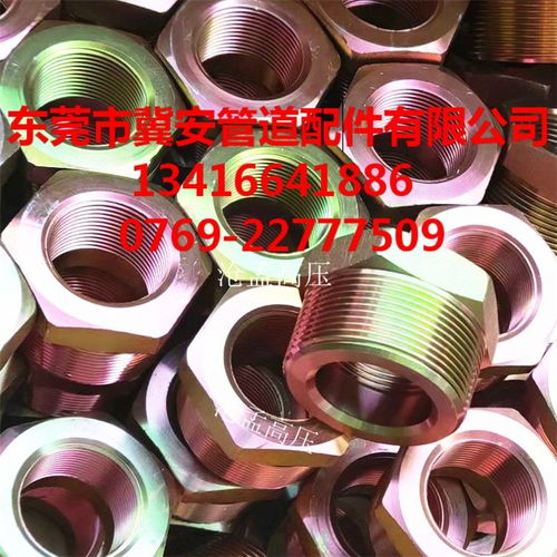 消防氣體管件在廣東汕頭與惠州的應用 碳鋼內外絲補芯管件解析